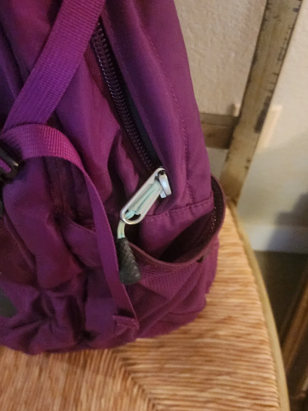The North Face Purple Backpack - Women's/Unisex
